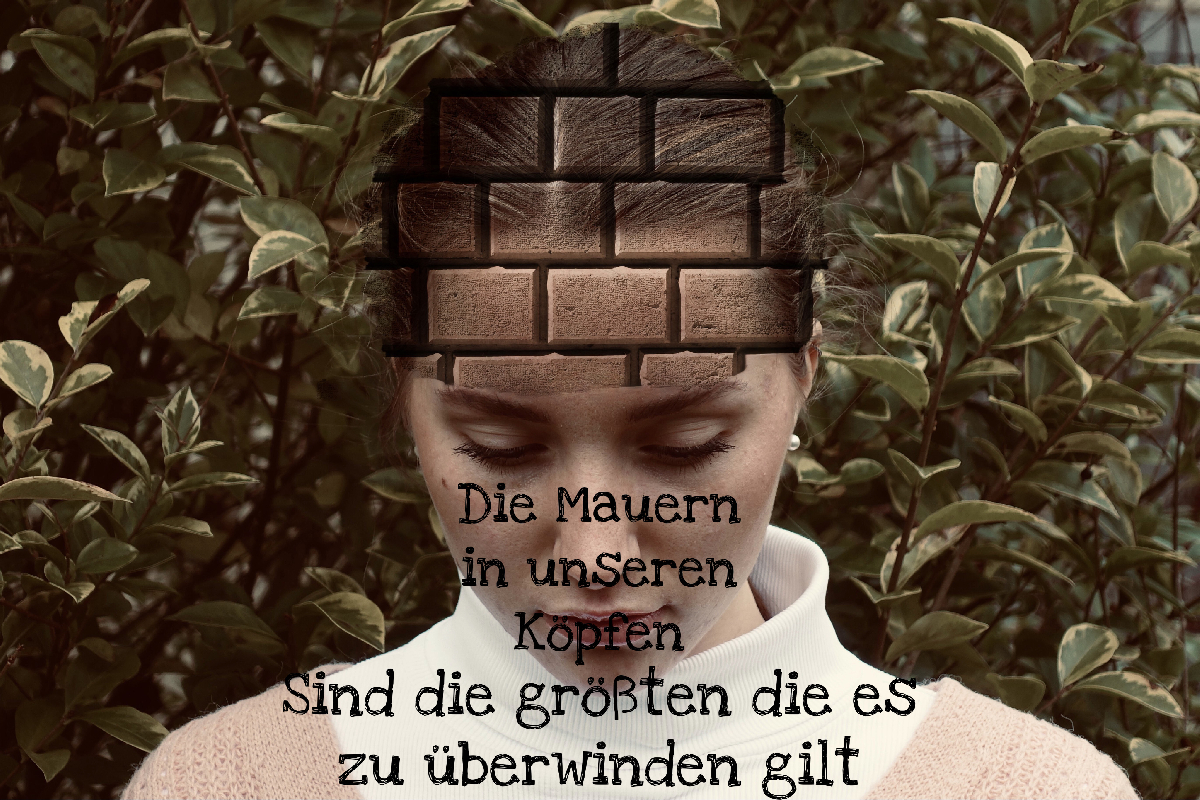 Bild nicht gefunden